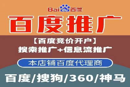 百度竞价排名案例分析：提升网站流量与转化率